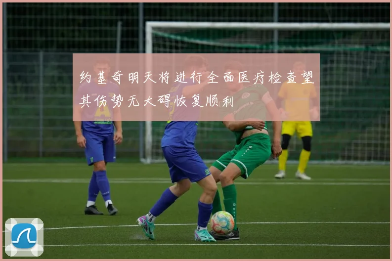 约基奇明天将进行全面医疗检查望其伤势无大碍恢复顺利