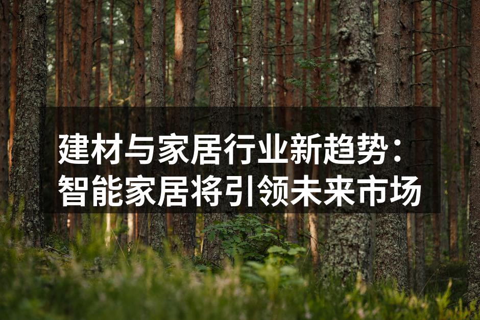 智能家居系统提升生活品质